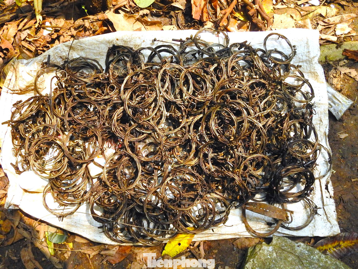 Trong gần 3.000 chuyến tuần tra, "Đội đặc nhiệm" đã tháo gỡ 15.803 bẫy thú của các đối tượng săn bắt giăng ra; phát hiện hơn 300 động vật bị săn, bắn, vận chuyển; phá hủy hơn 1.150 lán trại của người đi săn trong rừng. Trong những chuyến tuần tra, Đội phát hiện 939 người vi phạm, lập biên bản xử lý 379 người, thu giữ 130 khẩu súng, 41 kích điện.