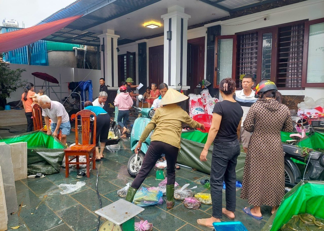 Lươn được bán với giá 120 nghìn đồng/1kg. Lươn được bán với giá 120 nghìn đồng/1kg.