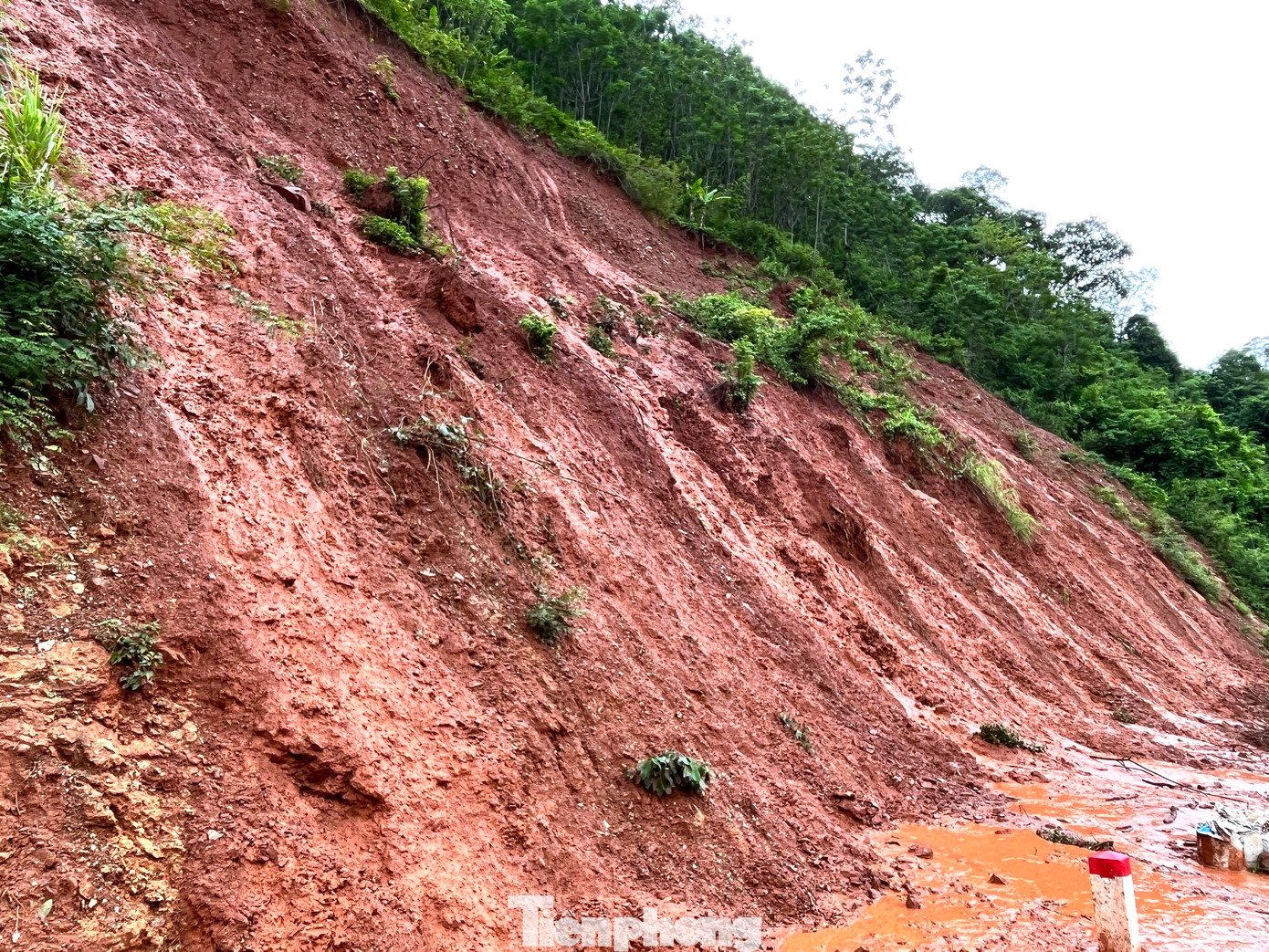 Mưa lớn kéo dài nhiều ngày đã khiến một số quả đồi dọc hai bên quốc lộ 7 đoạn qua địa bàn xã Tà Cạ, Nậm Cắn (huyện Kỳ Sơn, Nghệ An) no nước, bùn đất nhão nhoẹt và có nguy cơ sạt lở xuống đường bất cứ lúc nào. Mưa lớn kéo dài nhiều ngày đã khiến một số quả đồi dọc hai bên quốc lộ 7 đoạn qua địa bàn xã Tà Cạ, Nậm Cắn (huyện Kỳ Sơn, Nghệ An) no nước, bùn đất nhão nhoẹt và có nguy cơ sạt lở xuống đường bất cứ lúc nào.