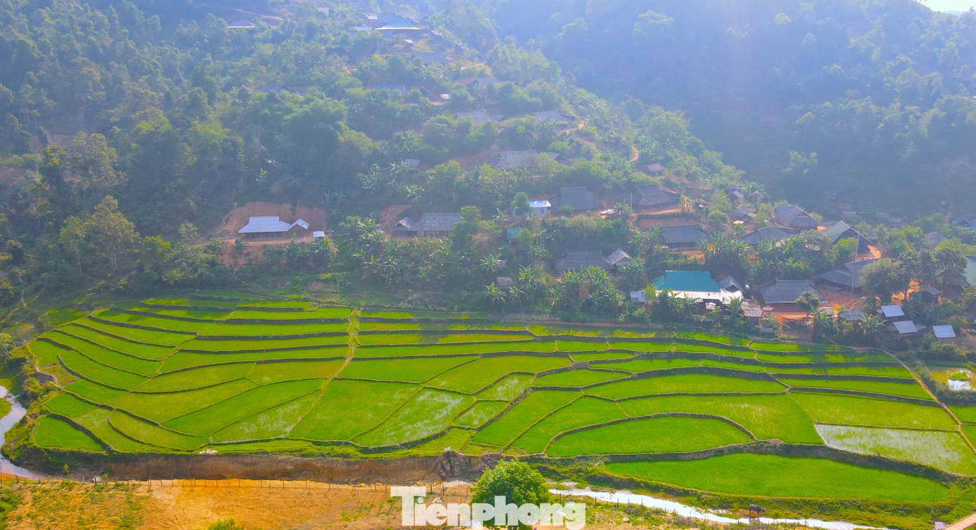 Nhìn từ trên cao, những thửa ruộng bậc thang ở huyện Quế Phong nằm xen lẫn núi đồi xanh bát ngát.