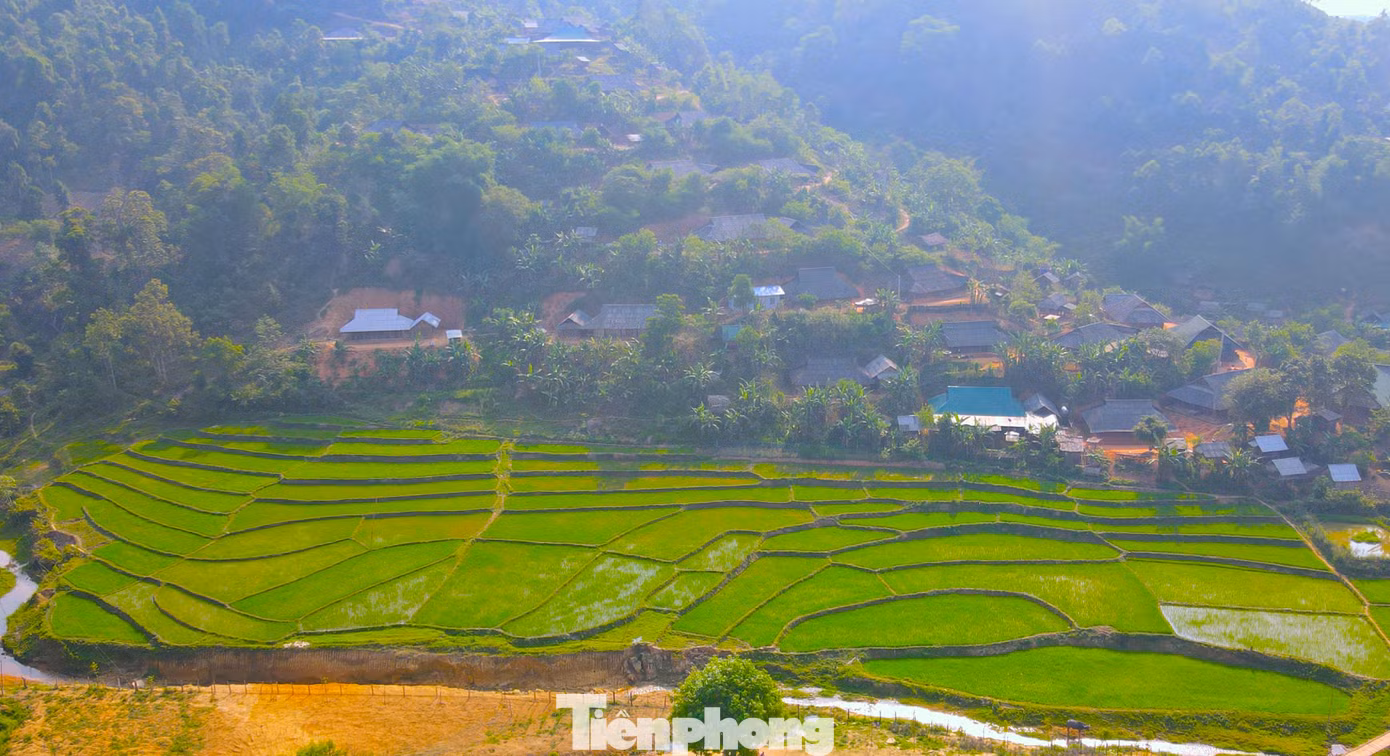 Nhìn từ trên cao, những thửa ruộng bậc thang ở huyện Quế Phong nằm xen lẫn núi đồi xanh bát ngát.