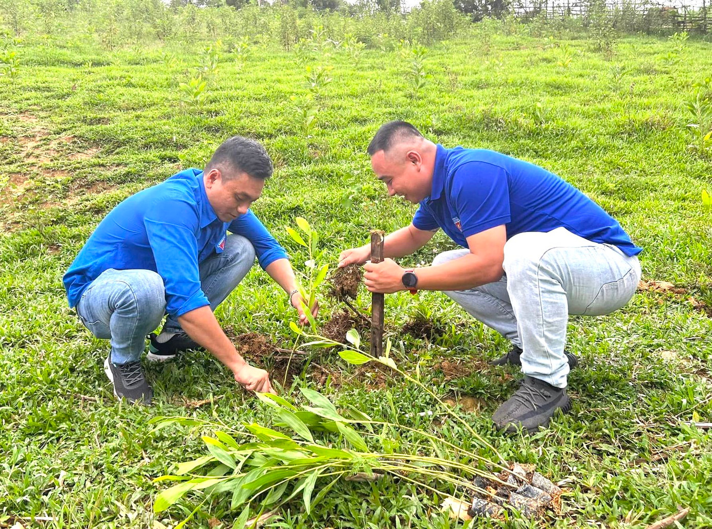 Những cây giống được các đoàn viên thanh niên đào trồng và chăm sóc.