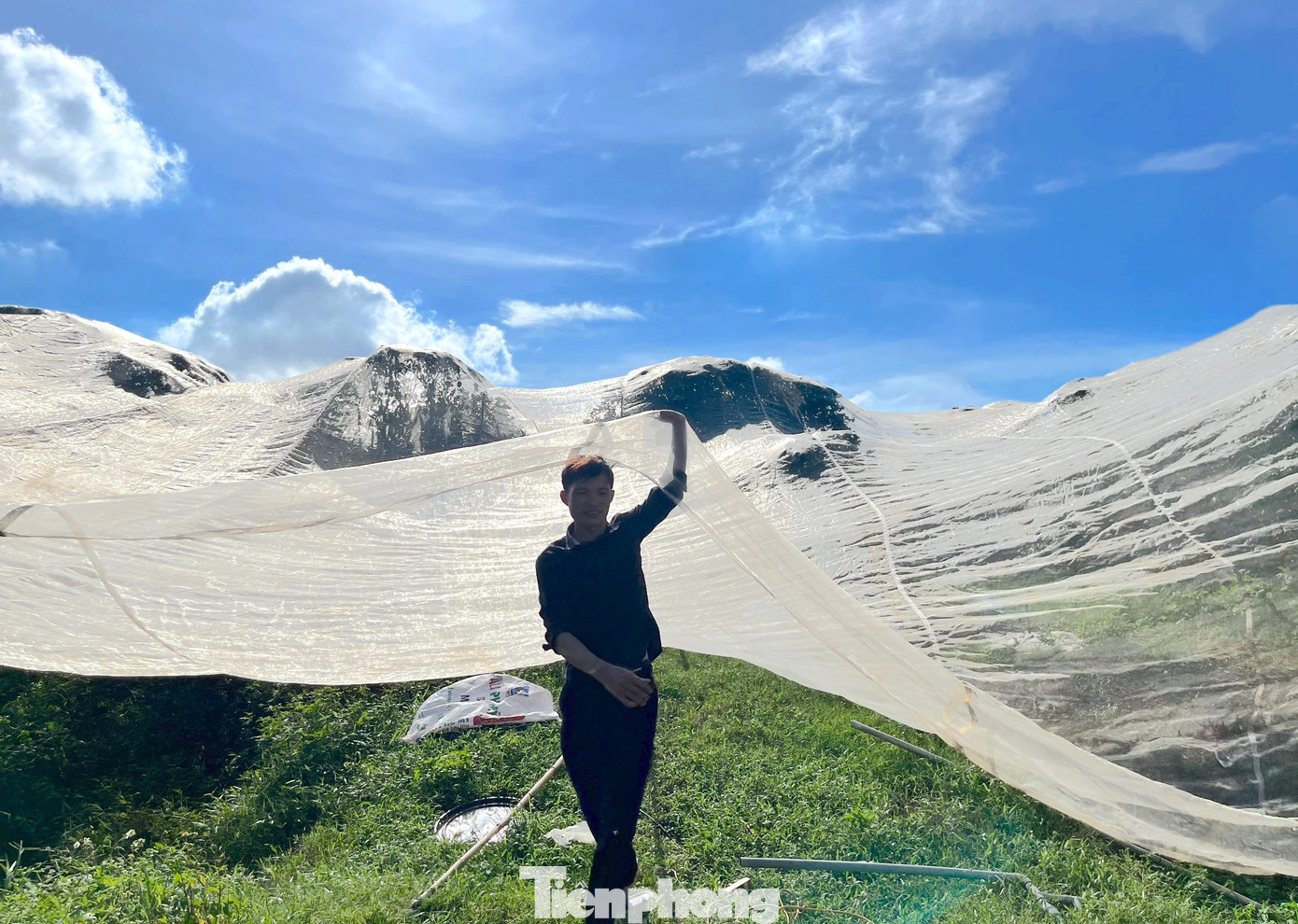 Sau một thời gian học hỏi và tìm hiểu, anh Hiếu đã tìm ra cách mắc màn cho vườn cây cam để tránh tác hại của thiên nhiên, sâu bọ. Từ đó, vườn cam sẽ cho năng suất và đạt chất lượng tốt hơn. Sau một thời gian học hỏi và tìm hiểu, anh Hiếu đã tìm ra cách mắc màn cho vườn cây cam để tránh tác hại của thiên nhiên, sâu bọ. Từ đó, vườn cam sẽ cho năng suất và đạt chất lượng tốt hơn.