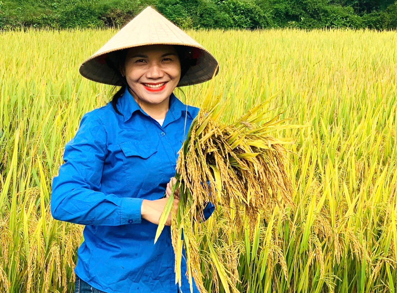 Nắng nóng, việc gặt lúa vất vả nhưng nụ cười vẫn luôn nở trên môi của các đoàn viên thanh niên, thể hiện tinh thần xung kích của tuổi trẻ. Trong ảnh, chị Ngân Thị Quỳnh - Phó Bí thư Đoàn xã Môn Sơn tươi cười cùng các đoàn viên thu hoạch lúa giúp người dân.