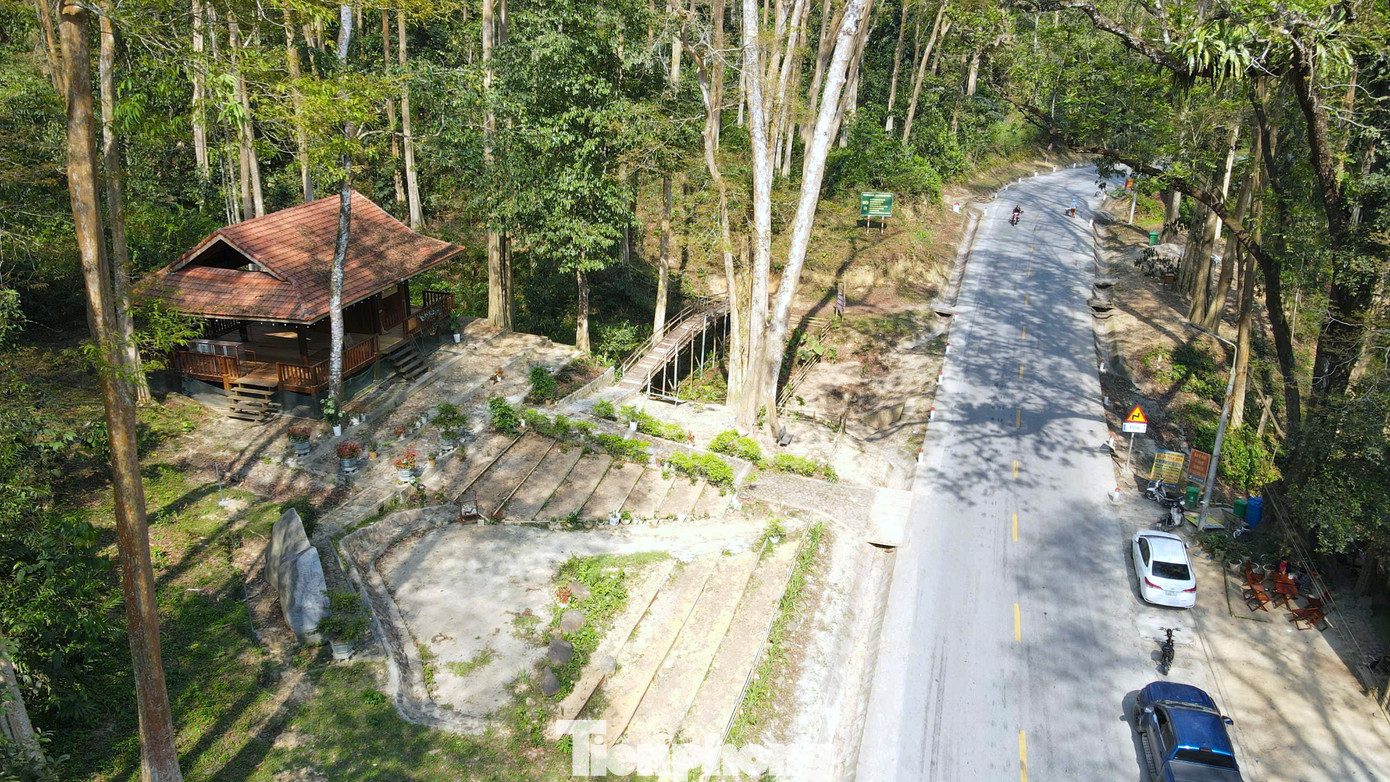 Xuyên qua khu rừng săng lẻ là tuyến quốc lộ 7 kết nối từ quốc lộ 1A đi các huyện Anh Sơn, Con Cuông, Tương Dương, Kỳ Sơn. Xuyên qua khu rừng săng lẻ là tuyến quốc lộ 7 kết nối từ quốc lộ 1A đi các huyện Anh Sơn, Con Cuông, Tương Dương, Kỳ Sơn.