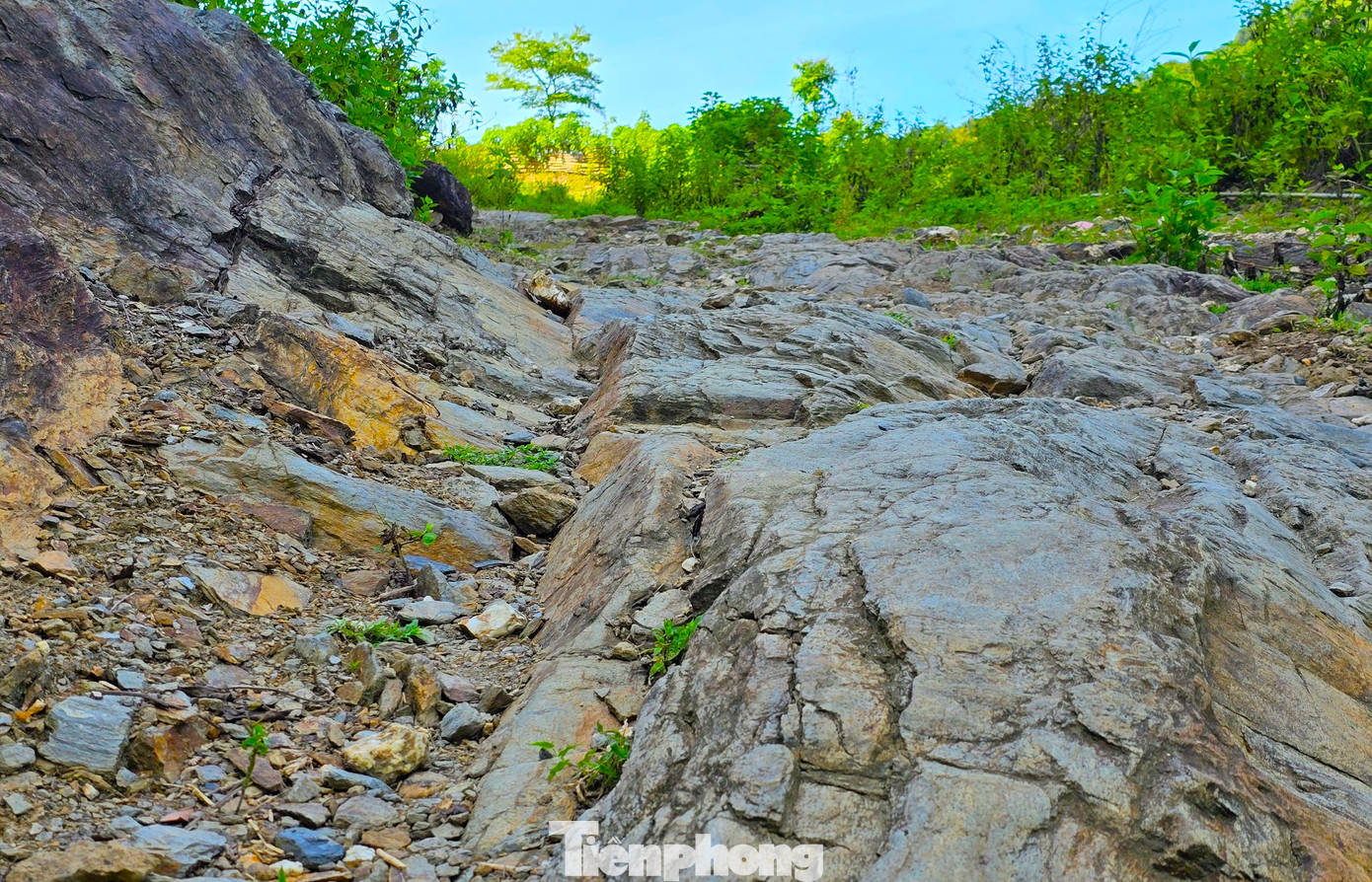 Không bố trí được nguồn vốn, năm 2021, UBND huyện Tương Dương đã có văn bản đề nghị UBND tỉnh, Sở Kế hoạch và Đầu tư xem xét cho dừng thực hiện dự án.