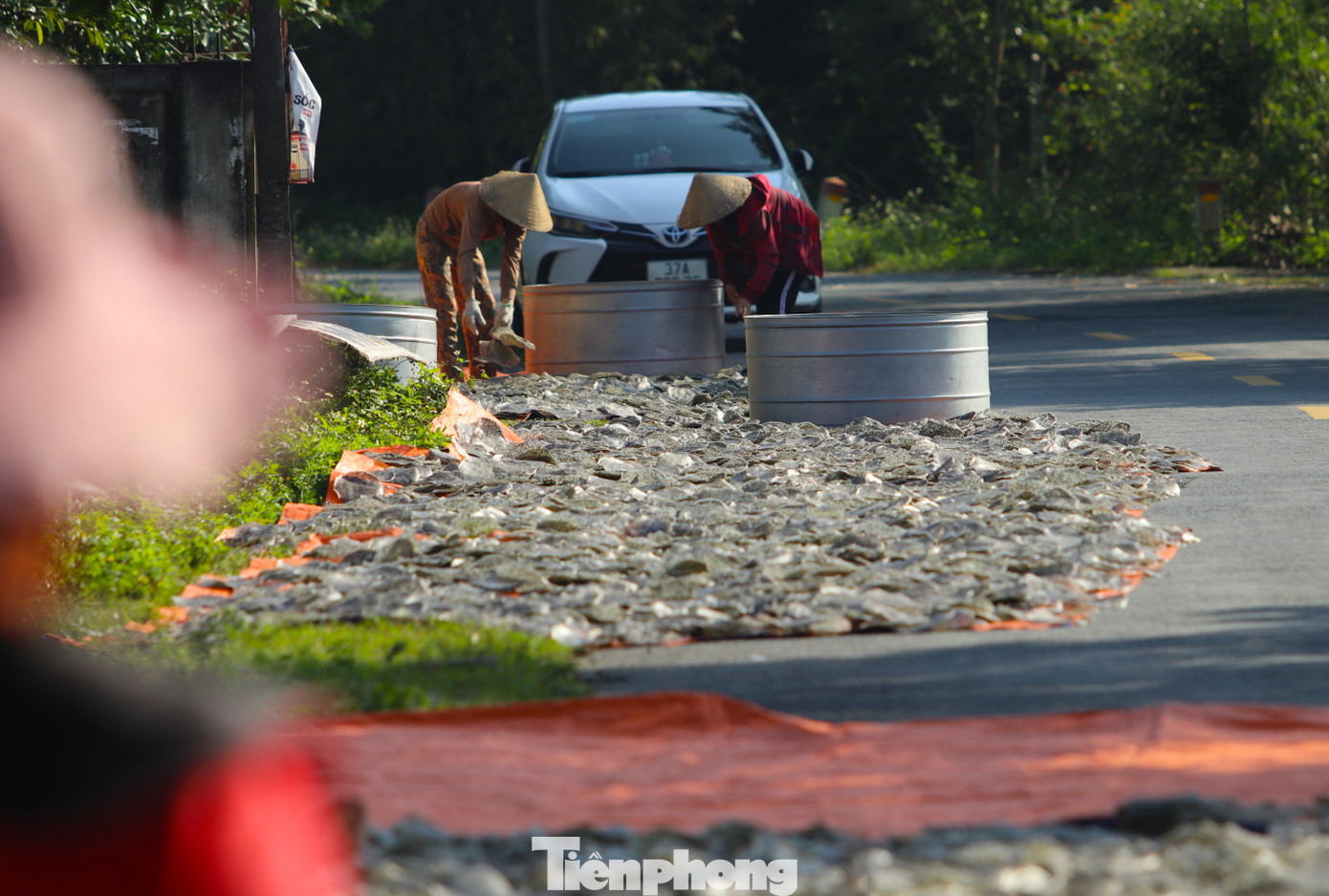 Không chỉ phơi giàn, mặt đường làng nơi có ít người qua lại cũng được các cơ sở tận dụng trải bạt để phơi bánh. Không chỉ phơi giàn, mặt đường làng nơi có ít người qua lại cũng được các cơ sở tận dụng trải bạt để phơi bánh.