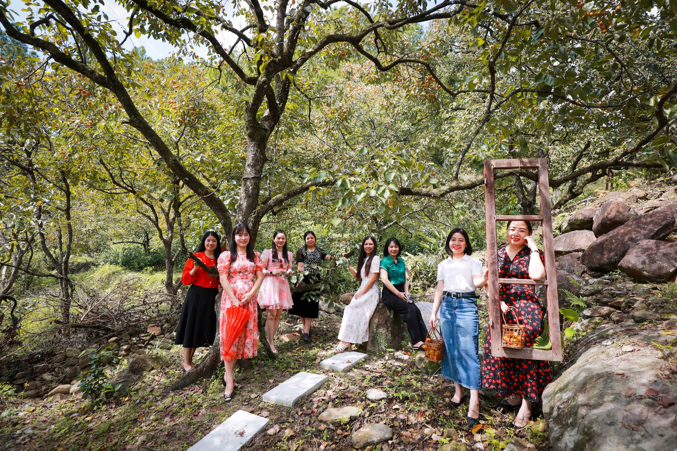 Vườn hồng cổ thu hút rất đông du khách trong và ngoài tỉnh về chụp hình check-in. (Ảnh: Sách Nguyễn).