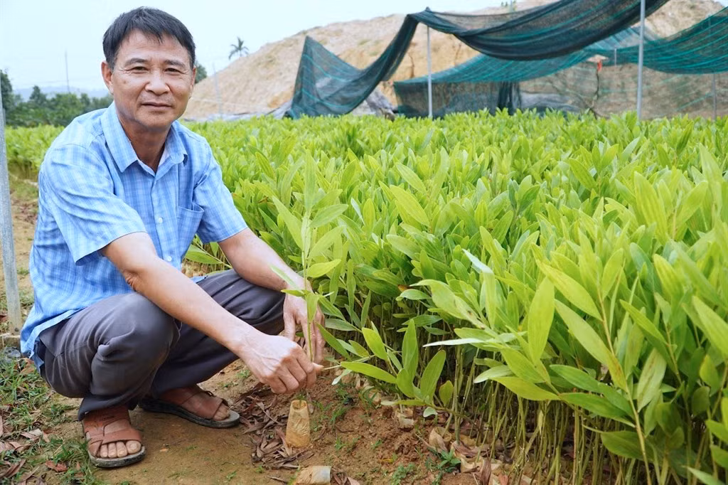 Ông Lê Công Lực bên vườn ươm cây giống của mình.