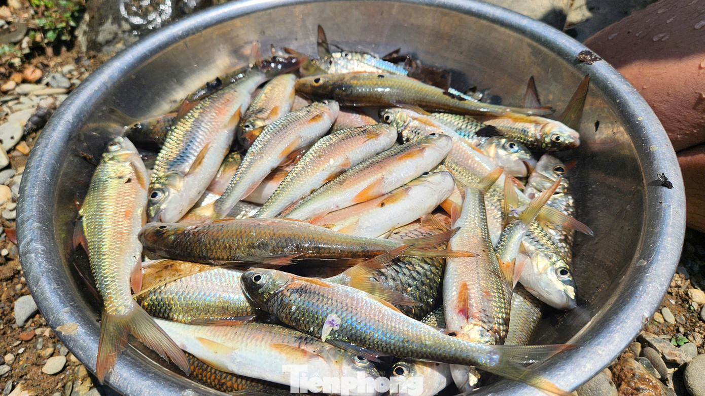 “Nhờ bán cá mát, chúng tôi có tiền để chi trả tiền điện thắp sáng đường, nên người dân không phải đóng góp như trước nữa. Ngoài ra, mỗi năm chúng tôi còn trích một phần để mua sắm đồ dùng chung của bản, thăm và hỗ trợ người già ốm đau, khó khăn…” - ông Nghệ nói.