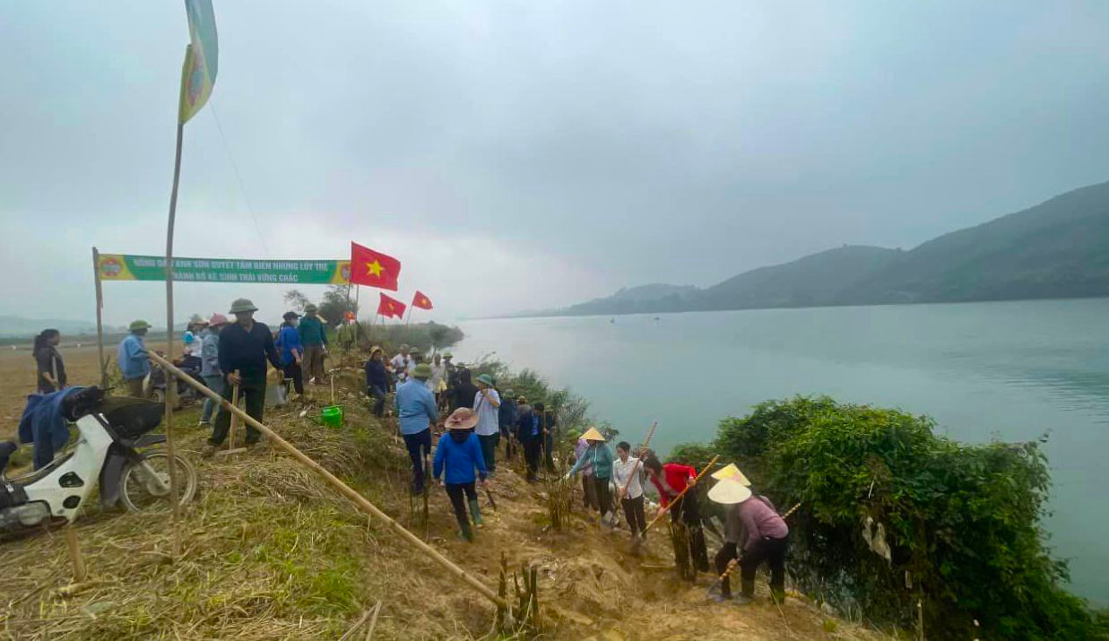 Cán bộ, người dân tiến hành trồng và chăm sóc những gốc tre để tạo thành bờ kè sinh thái vững chắc. Ảnh: Thái Hiền Cán bộ, người dân tiến hành trồng và chăm sóc những gốc tre để tạo thành bờ kè sinh thái vững chắc. Ảnh: Thái Hiền