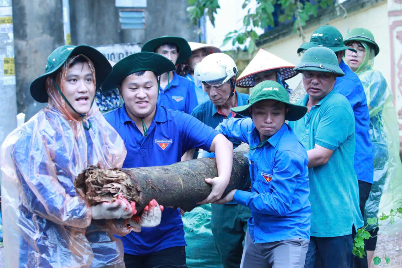 Những thân cây lớn, cả nhóm đoàn viên thanh niên phải hợp sức nhau lại mới có thể vác được đi khỏi hiện trường.