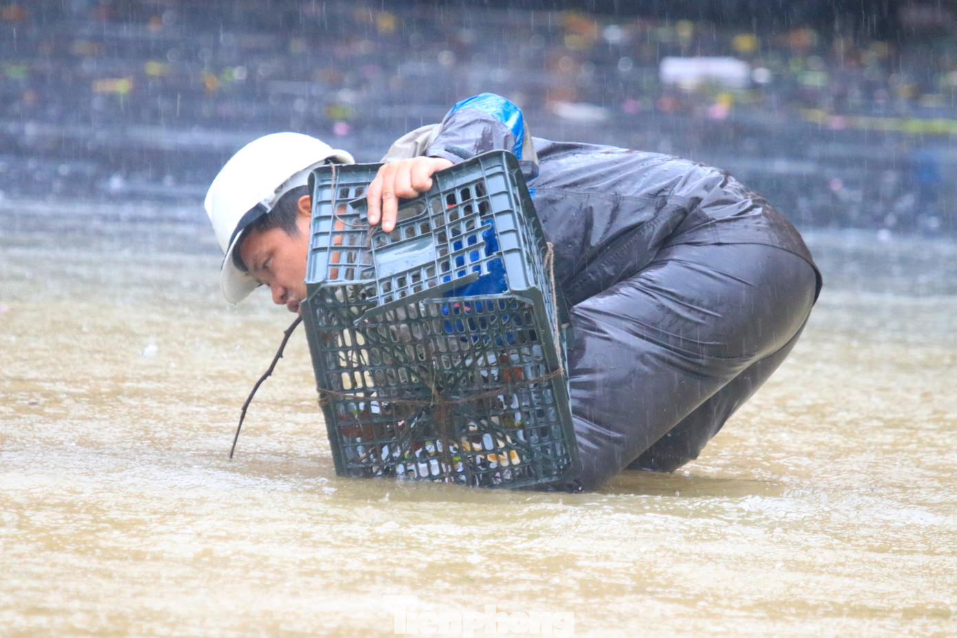 Trước tình trạng đường ngập sâu, cán bộ công nhân các công ty môi trường đô thị trên địa bàn thành phố Vinh đã đi dọc các tuyến phố để nạo vét rác bị kẹt tại miệng cống. "Lá, cành cây, túi bóng, rác kẹt ở miệng cống khiến nước không thể thoát được. Đây cũng chính là một trong những nguyên nhân gây ngập đường khi mưa lớn", một công nhân công ty môi trường ở thành phố Vinh chia sẻ.
