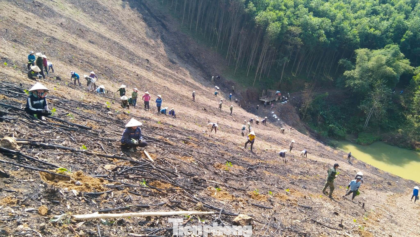 Việc trồng rừng giúp các hộ gia đình có hoàn cảnh khó khăn thể hiện tinh thần tương thân tương ái, tình đoàn kết, giúp đỡ lẫn nhau của các đoàn viên thanh niên và hội viên hội phụ nữ. Từ đó lan tỏa được những việc tốt, hành động đẹp đến với mọi người.