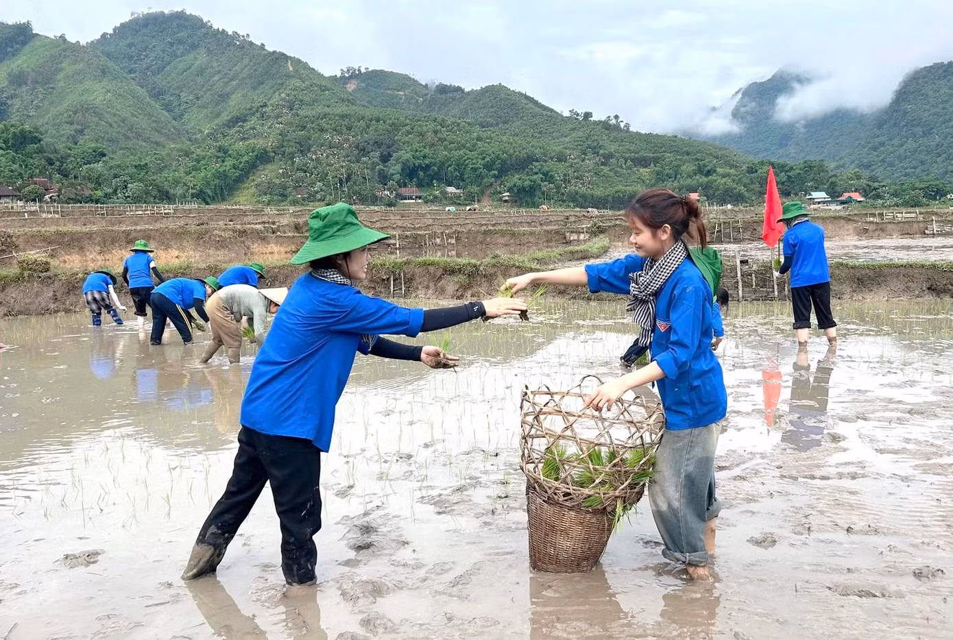 "Tùy vào thời tiết, có buổi chúng em cấy đến 10h thì nghỉ, chiều 14h sẽ tiếp tục công việc đến khi xong ruộng lúa mới nghỉ", em Quang Thị Hương Trà nói.