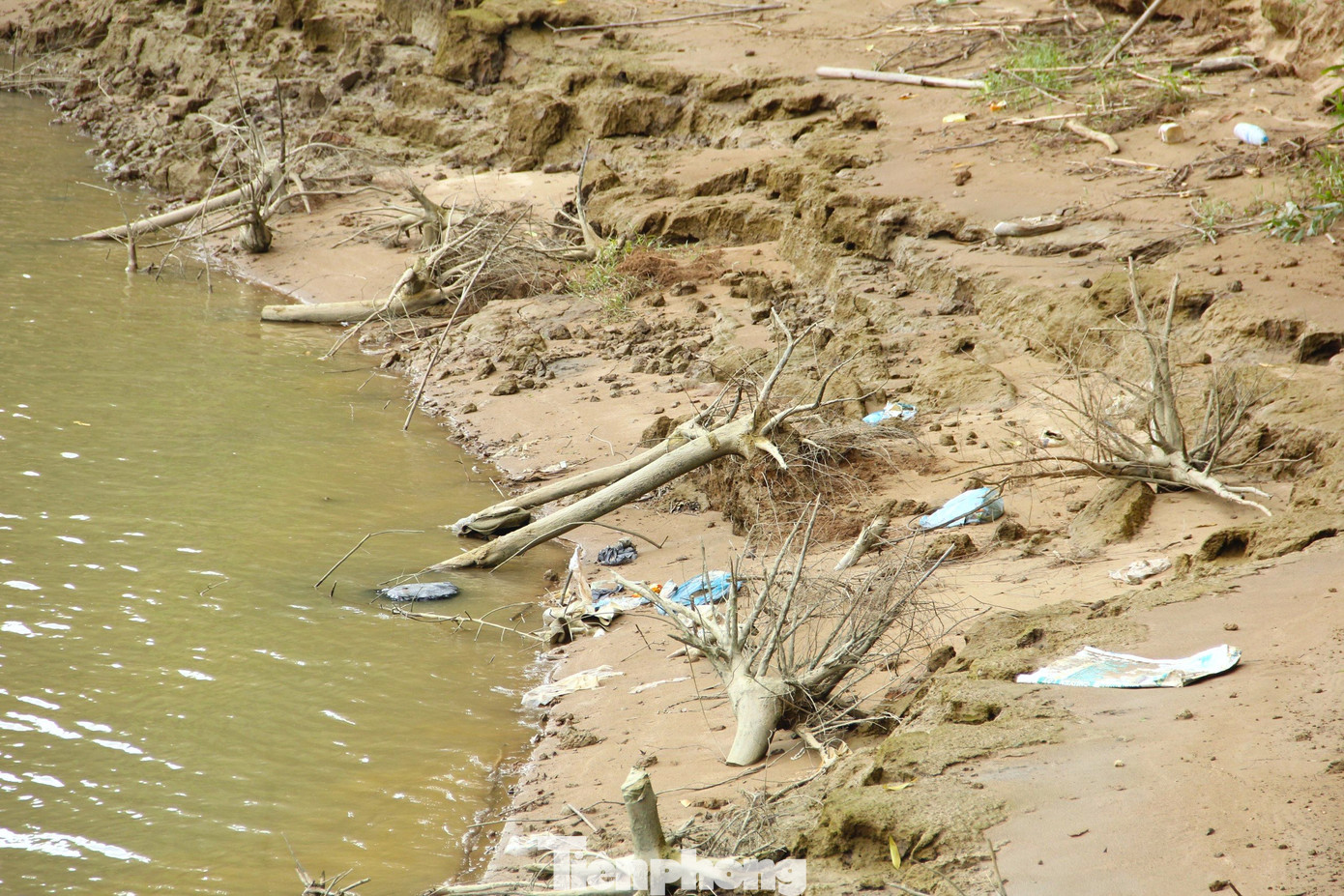 Tình trạng sạt lở kéo dài khiến người dân trên địa bàn xã Long Xá và Trung Phúc Cường lo lắng mất một diện tích lớn đất sản xuất trong tương lai. Tình trạng sạt lở kéo dài khiến người dân trên địa bàn xã Long Xá và Trung Phúc Cường lo lắng mất một diện tích lớn đất sản xuất trong tương lai.