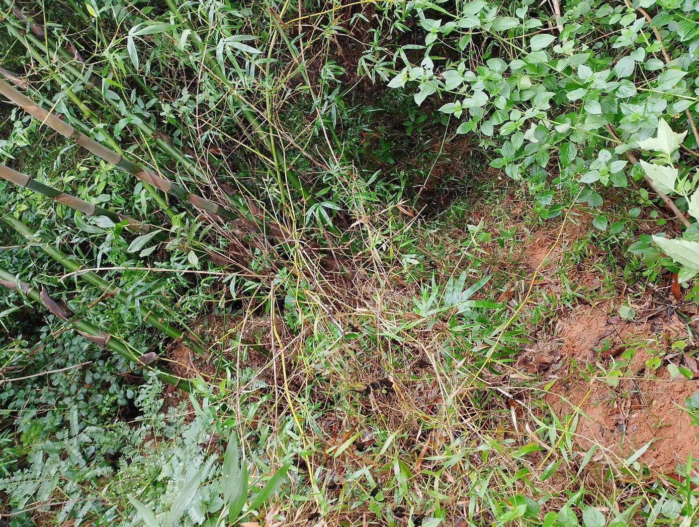 Vị trí phát hiện cháu bé trước đó đã được mọi người đến tìm kiếm nhưng không phát hiện gì khiến nhiều người đặt nghi vấn. Vị trí phát hiện cháu bé trước đó đã được mọi người đến tìm kiếm nhưng không phát hiện gì khiến nhiều người đặt nghi vấn.