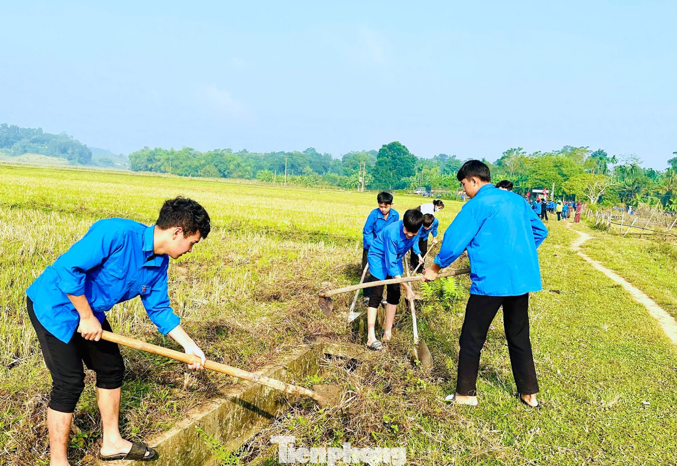 Dù nắng nóng, các đoàn viên thanh niên vẫn miệt mài với công việc.