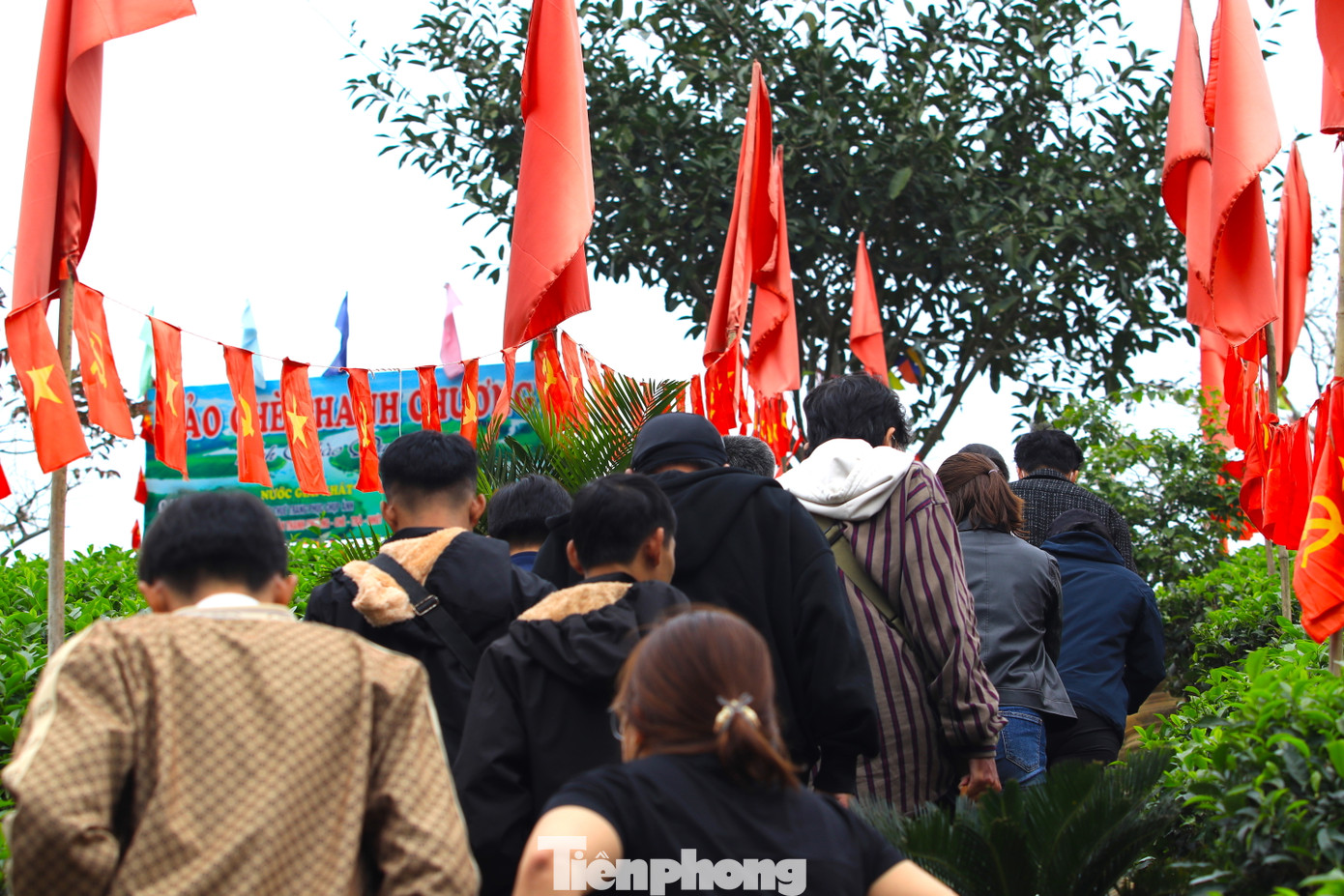 Những ngày đầu năm mới, du khách thập phương lại du xuân đến đảo chè để chụp ảnh check in.