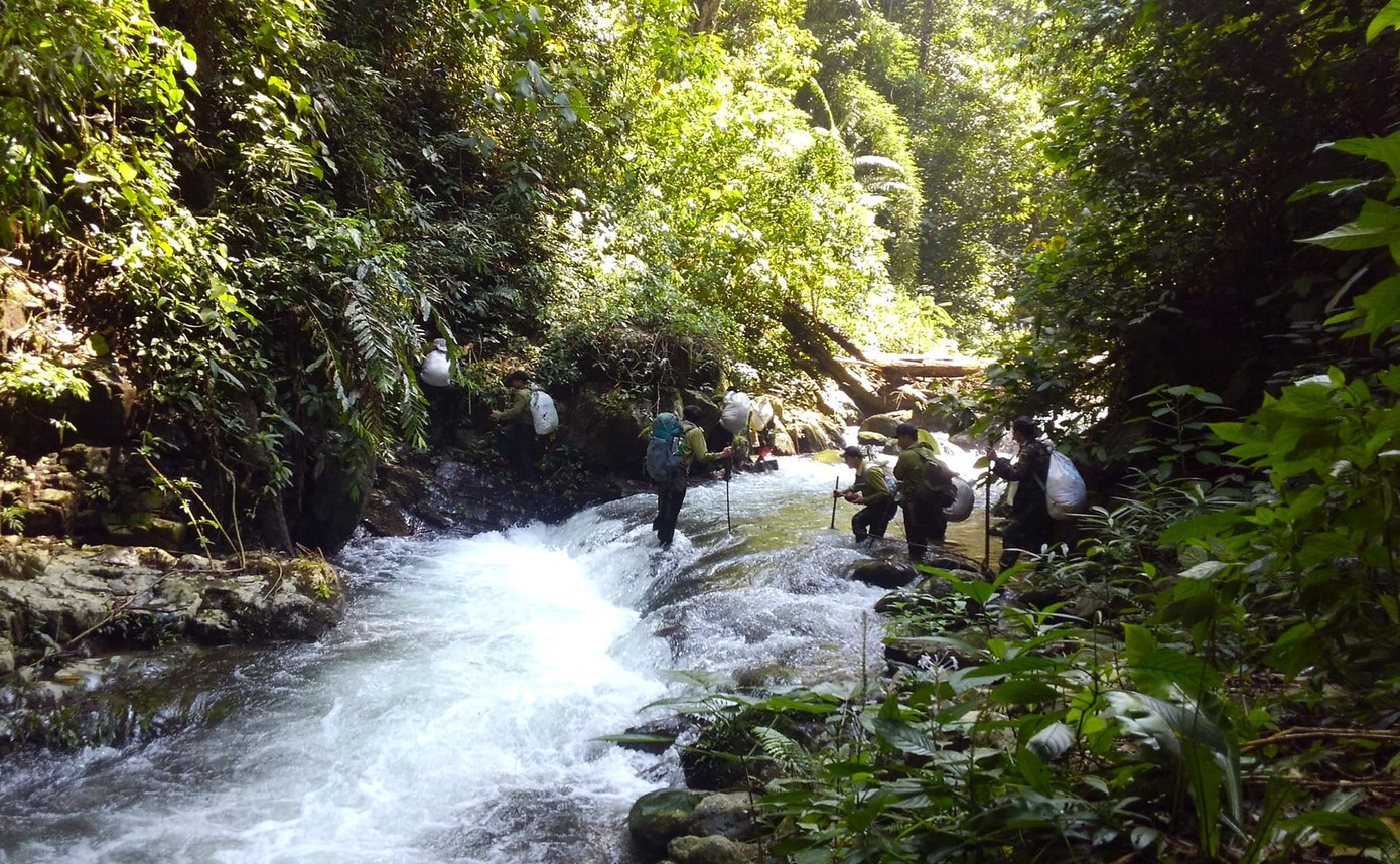 Sau khi thành lập, đội liên tục vào rừng tuần tra. Mỗi chuyến tuần tra, đội đi sâu trong rừng từ 10-12 ngày. Mỗi chuyến được chia làm 4 tổ đi 4 hướng. Mỗi tổ gồm 5-7 người (trong đó có 3 thành viên của nhóm BVRCT, 2-3 kiểm lâm và lực lượng nhận khoán bảo vệ rừng).