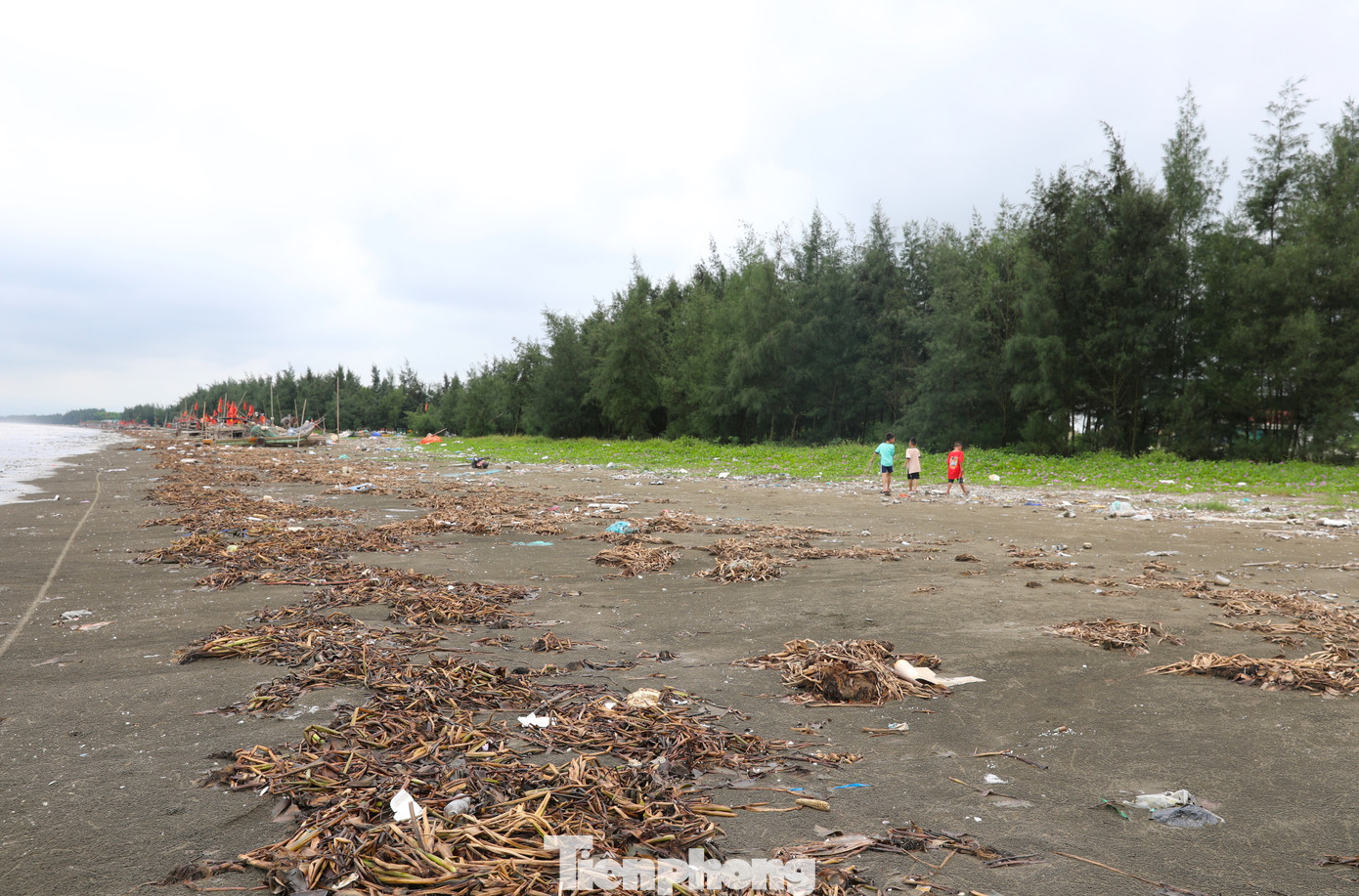 Tại xã Diễn Kim (huyện Diễn Châu), bờ biển xã này cũng đang trong tình trạng “ngộp thở” vì rác. Bờ biển qua xã Diễn Kim dài 6km nhưng đủ chủng loại rác, bèo khô trôi dạt chất thành đống.