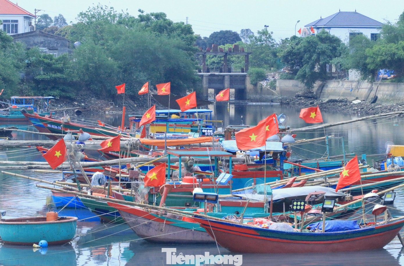 Từ 4h sáng đến 7h sáng hàng ngày, các tàu thuyền liên tục cập bến với khoang đầy ắp tôm cá sau một đêm dài ra khơi đánh bắt hải sản.