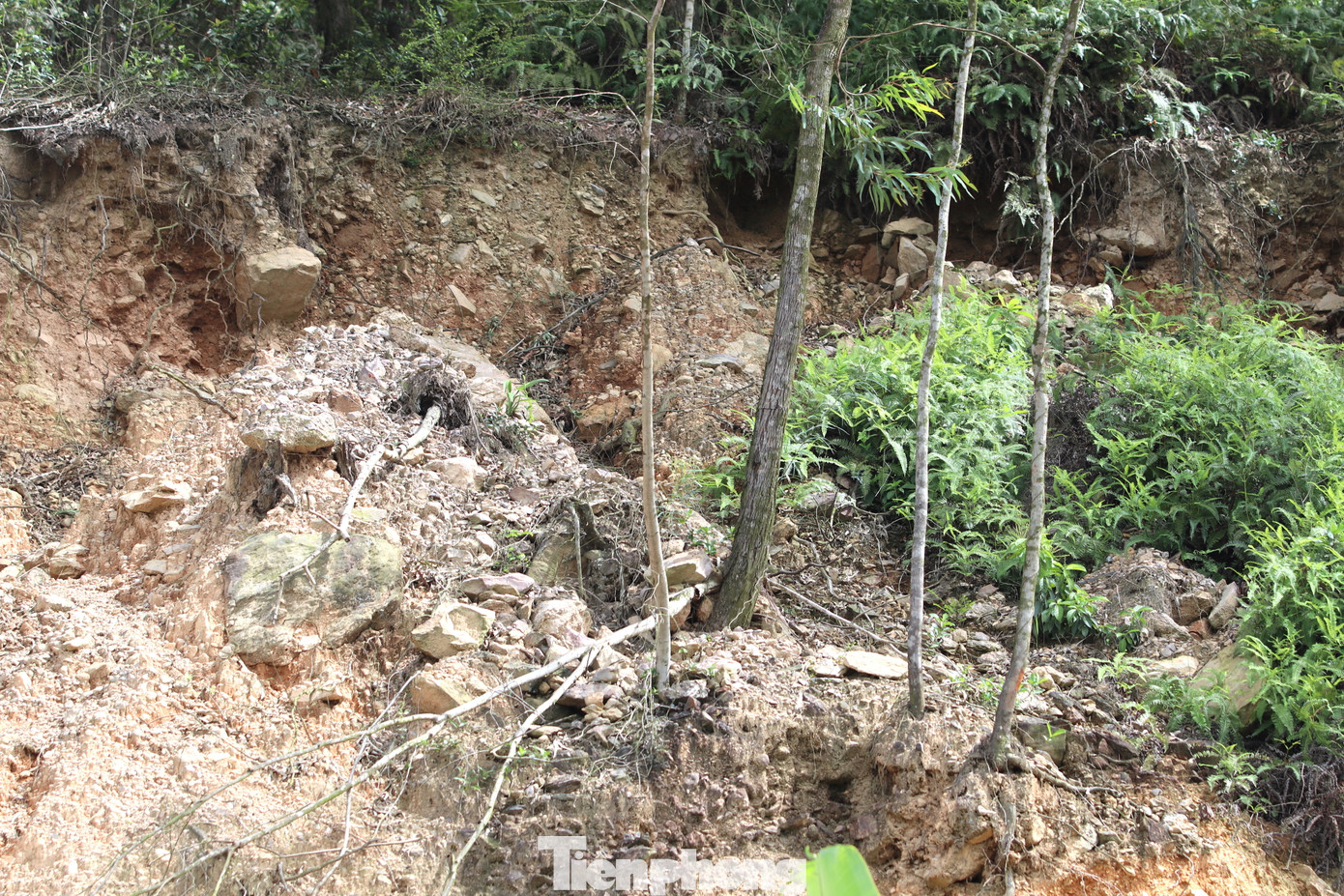 Phía trên núi đất đá có dấu hiệu tiếp tục sạt lở. Nhiều cây cối bị sạt lở đất chỉ còn rễ trơ trọi. Một số cây bị sạt lở xuống lưng chừng. Chỉ chờ cơn mưa lớn, những phần đất đá này sẽ tiếp tục trôi xuống nhà dân phía dưới.