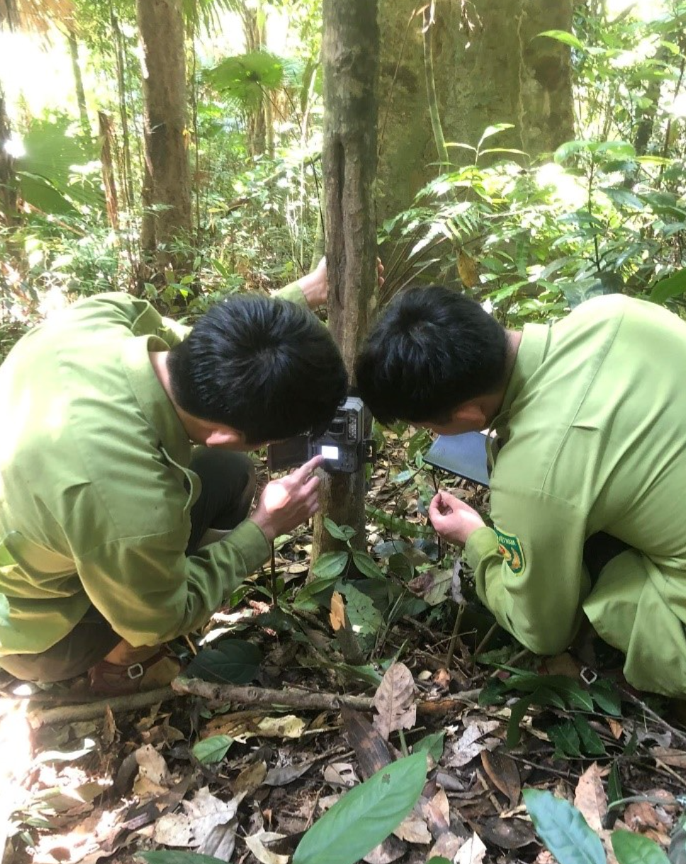 Để có hiệu quả, các cán bộ Khu BTTN Pù Hoạt đã rải thức ăn để dẫn dụ các loài động vật đến trước các khu vực đặt máy bẫy ảnh. Để có hiệu quả, các cán bộ Khu BTTN Pù Hoạt đã rải thức ăn để dẫn dụ các loài động vật đến trước các khu vực đặt máy bẫy ảnh.