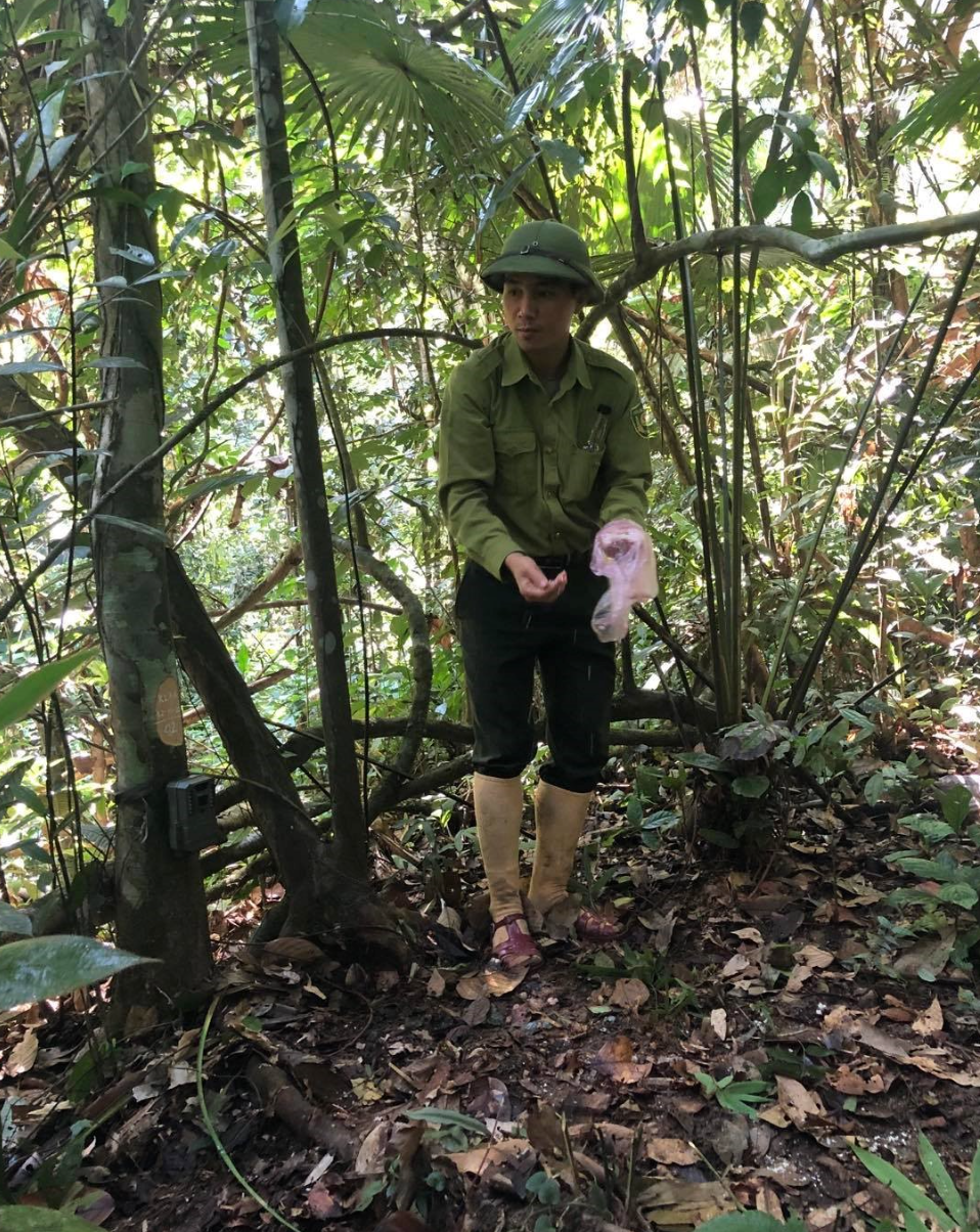 Để có hiệu quả, các cán bộ Khu BTTN Pù Hoạt đã rải thức ăn để dẫn dụ các loài động vật đến trước các khu vực đặt máy bẫy ảnh. Để có hiệu quả, các cán bộ Khu BTTN Pù Hoạt đã rải thức ăn để dẫn dụ các loài động vật đến trước các khu vực đặt máy bẫy ảnh.