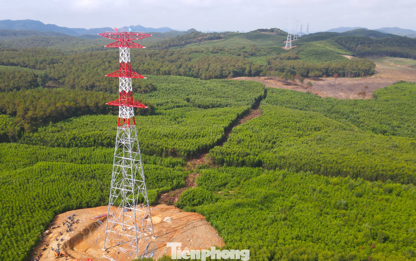 Ngày 28/6, Thường trực Tỉnh Đoàn Nghệ An cùng đại diện của 10 Huyện, Thị Đoàn trên địa bàn tỉnh đã có mặt tại cột điện DO522-83D thuộc địa bàn xã Quỳnh Châu (huyện Quỳnh Lưu, tỉnh Nghệ An) để triển khai chặt hạ toàn bộ cây trong khu vực hành lang tuyến cần giải tỏa.