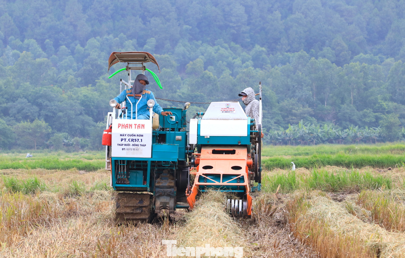Việc thu gom thủ công không mất chi phí đầu tư nhưng mất công, tốn sức và lượng rơm thu về không được nhiều. Chính vì thế một số người đã mạnh dạn đầu tư những chiếc máy cỡ lớn về để thu gom rơm đi bán.