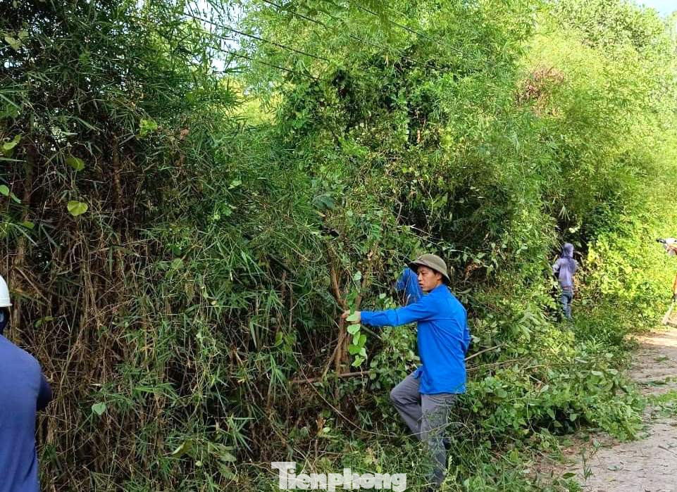 Các đoàn viên bất chấp nắng nóng, nhiệt tình tham gia phát quang các hệ thống đường điện.