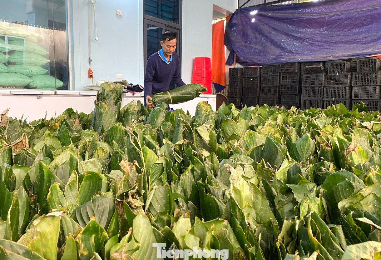 Năm nay, cơ sở của anh Hạnh nhận gói 10 nghìn chiếc bánh nên cơ sở phải mua hàng vạn chiếc lá. Để việc gói bánh được suôn sẻ, anh Hạnh thuê thêm thợ, chuẩn bị đầy đủ các nguyên liệu rồi bắt đầu gói bánh từ ngày 26 đến 29 tháng Chạp. Sau khi hoàn tất, bánh được anh Hạnh gửi đi giao cho khách. “Năm nay các nguyên vật liệu đều tăng giá hơn so với mọi năm khoảng 10% nên làm bánh không còn lời lãi nhiều. Nghề truyền thống nên chủ yếu lấy công sức làm lãi”, anh Bùi Đức Hạnh (chủ cơ sở bánh chưng Hạnh Tình) nói.