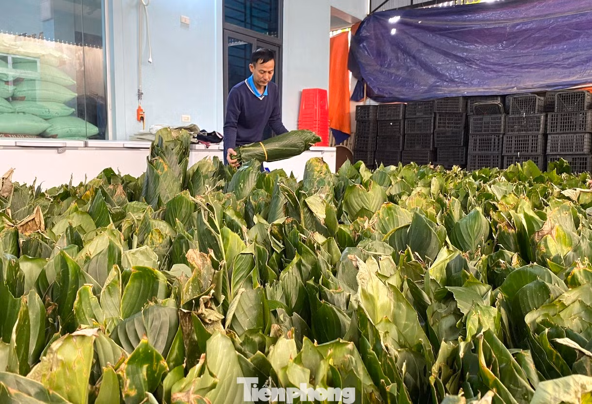 Năm nay, cơ sở của anh Hạnh nhận gói 10 nghìn chiếc bánh nên cơ sở phải mua hàng vạn chiếc lá. Để việc gói bánh được suôn sẻ, anh Hạnh thuê thêm thợ, chuẩn bị đầy đủ các nguyên liệu rồi bắt đầu gói bánh từ ngày 26 đến 29 tháng Chạp. Sau khi hoàn tất, bánh được anh Hạnh gửi đi giao cho khách. “Năm nay các nguyên vật liệu đều tăng giá hơn so với mọi năm khoảng 10% nên làm bánh không còn lời lãi nhiều. Nghề truyền thống nên chủ yếu lấy công sức làm lãi”, anh Bùi Đức Hạnh (chủ cơ sở bánh chưng Hạnh Tình) nói.