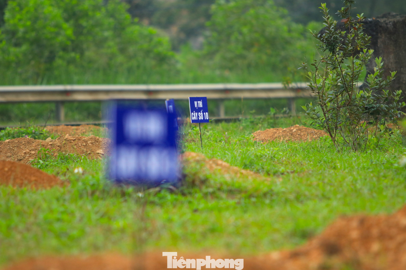 Khu vực trồng cây xanh trong chương trình "Tết trồng cây đời đời nhớ ơn Bác Hồ" đã được chuẩn bị chu đáo.