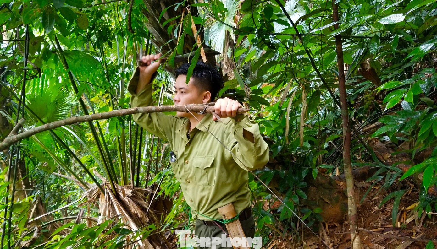 Vừa đi rừng tuần tra, các thành viên phải liên tục quan sát thật tinh mắt để phát hiện bẫy thú đã được giăng ra để tháo gỡ.