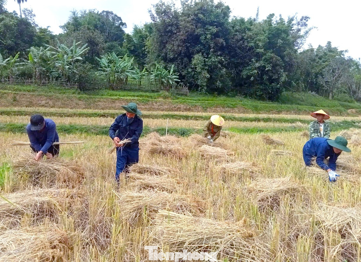 Bên cạnh việc thực hiện tốt nhiệm vụ của mình là tìm kiếm, quy tập mộ liệt sĩ, vào các ngày nghỉ, Đội Quy tập cử lực lượng xuống giúp đỡ nhân dân bản địa thu hoạch lúa, hỗ trợ người dân sửa nhà. Bên cạnh việc thực hiện tốt nhiệm vụ của mình là tìm kiếm, quy tập mộ liệt sĩ, vào các ngày nghỉ, Đội Quy tập cử lực lượng xuống giúp đỡ nhân dân bản địa thu hoạch lúa, hỗ trợ người dân sửa nhà.