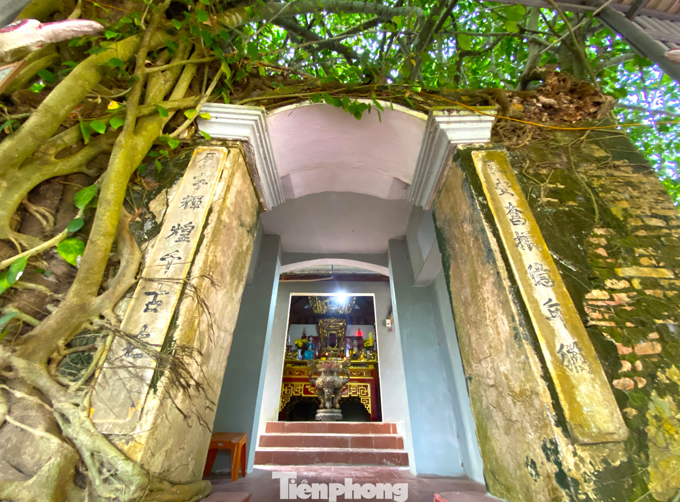 Sau nhiều tháng đợi chờ, bà Quyên cũng đến ngày sinh nở. Nhưng kỳ lạ thay, bà Quyên không sinh ra con mà ra 2 quả trứng. Dù lo lắng nhưng 2 vợ chồng cũng an ủi nhau rồi đưa trứng vào ấp. Một thời gian sau, trứng nở ra 2 con rắn và được vợ chồng ông đặt tên là Hoàng Tiến Sơn (rắn anh) và Hoàng Tiến Kỳ (rắn em).