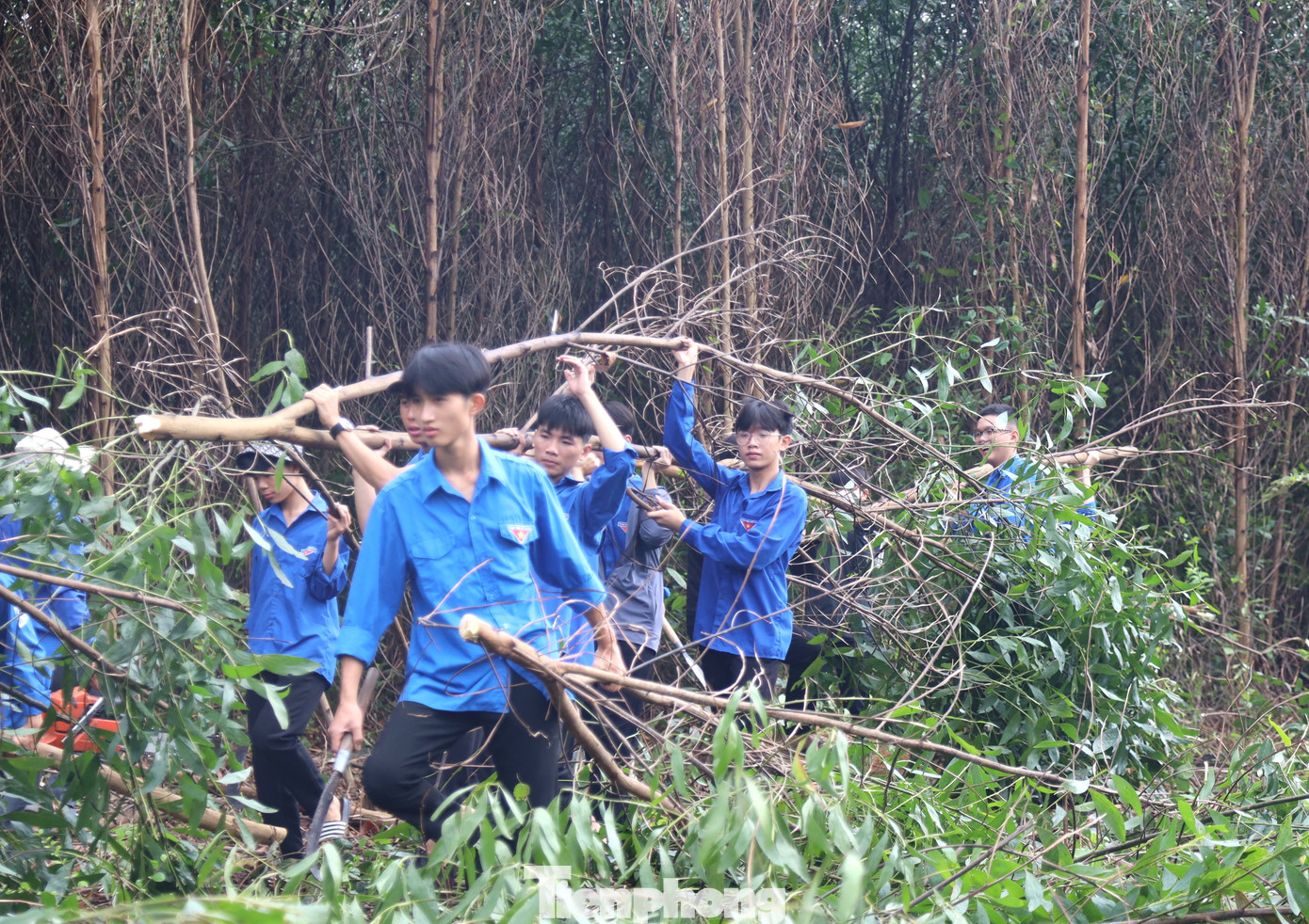 Trong 30 ngày triển khai đợt thi đua cao điểm, các đội hình thanh niên tình nguyện toàn tỉnh Nghệ An đã hỗ trợ tháo dỡ 24 ngôi nhà trong khu vực ảnh hưởng; tháo dỡ 44 chuồng trại và vật kiến trúc; tham gia giải tỏa, phát quang, chặt hạ hơn 26 hecta, gần 9.000 cây các loại ảnh hưởng đến hành lang tuyến đường dây 500kV đi qua để bàn giao mặt bằng cho đơn vị thi công công trình.