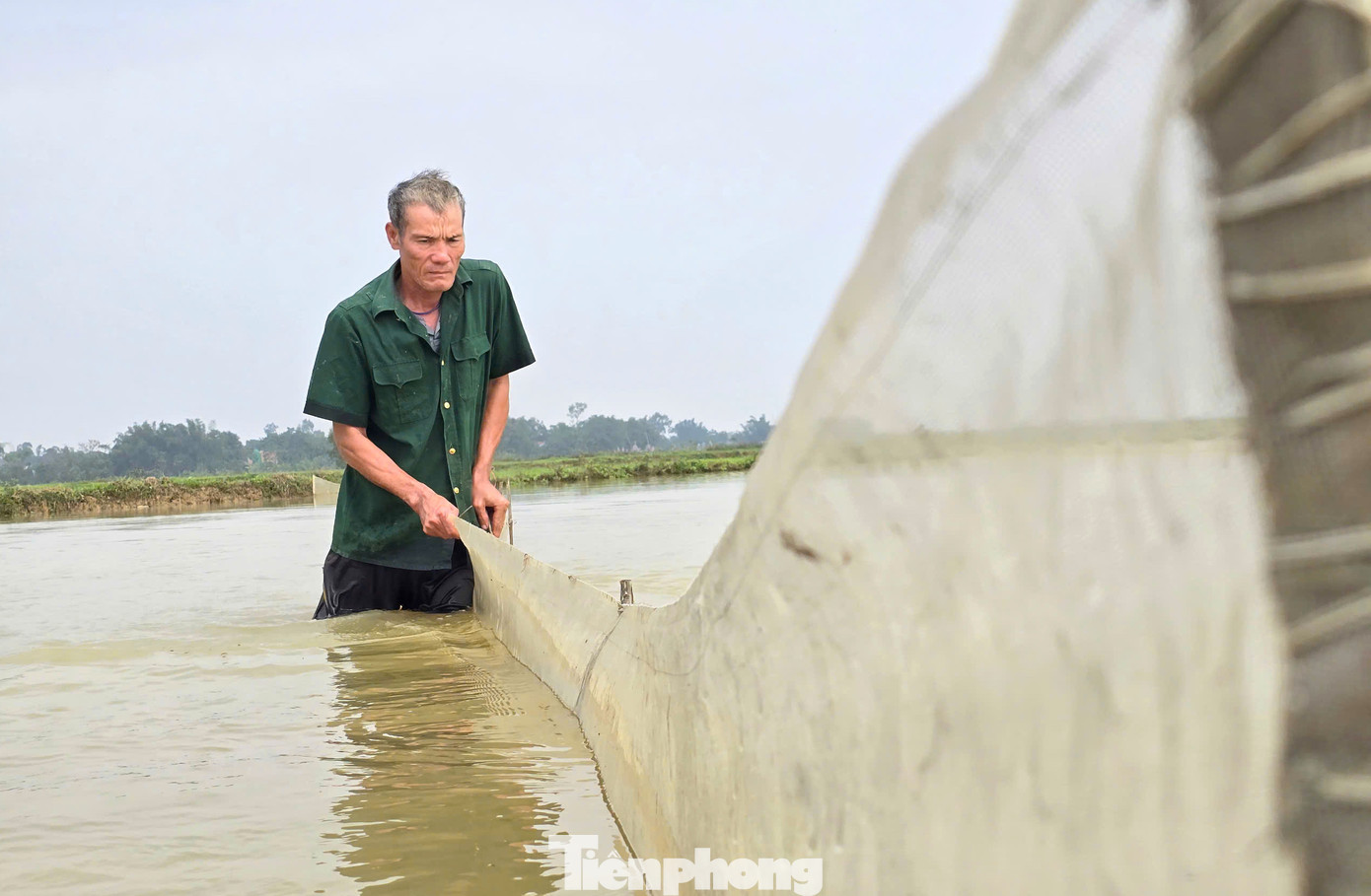 Hàng ngày, ông Quế và người dân lại ra kiểm tra ruộng, hệ thống cọc lưới để đảm bảo chắc chắn.