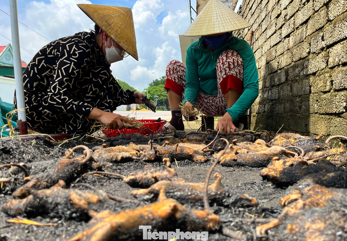 “Bắt chuột không khó. Làm thịt chuột cũng không khó, nhưng cần có chút kinh nghiệm để làm được con chuột sạch nhất mà không nghe mùi. Phụ nữ ở đây không chỉ biết làm thịt mà hầu như ai cũng có thể chế biến được các món đặc sản từ chuột”, chị Nguyễn Thị Phượng (42 tuổi) chia sẻ.
