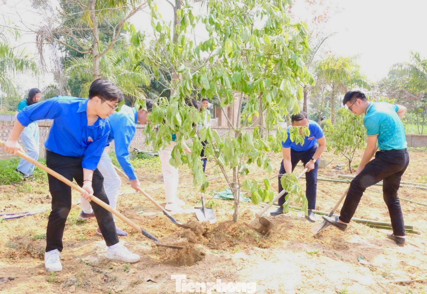 Đoàn cơ sở Ngân hàng BIDV các chi nhánh trên địa bàn tỉnh trao tặng 1 vườn cây thanh niên trị giá 20 triệu đồng cho người dân xã Hùng Sơn (huyện Anh Sơn). Đoàn cơ sở Ngân hàng BIDV các chi nhánh trên địa bàn tỉnh trao tặng 1 vườn cây thanh niên trị giá 20 triệu đồng cho người dân xã Hùng Sơn (huyện Anh Sơn).