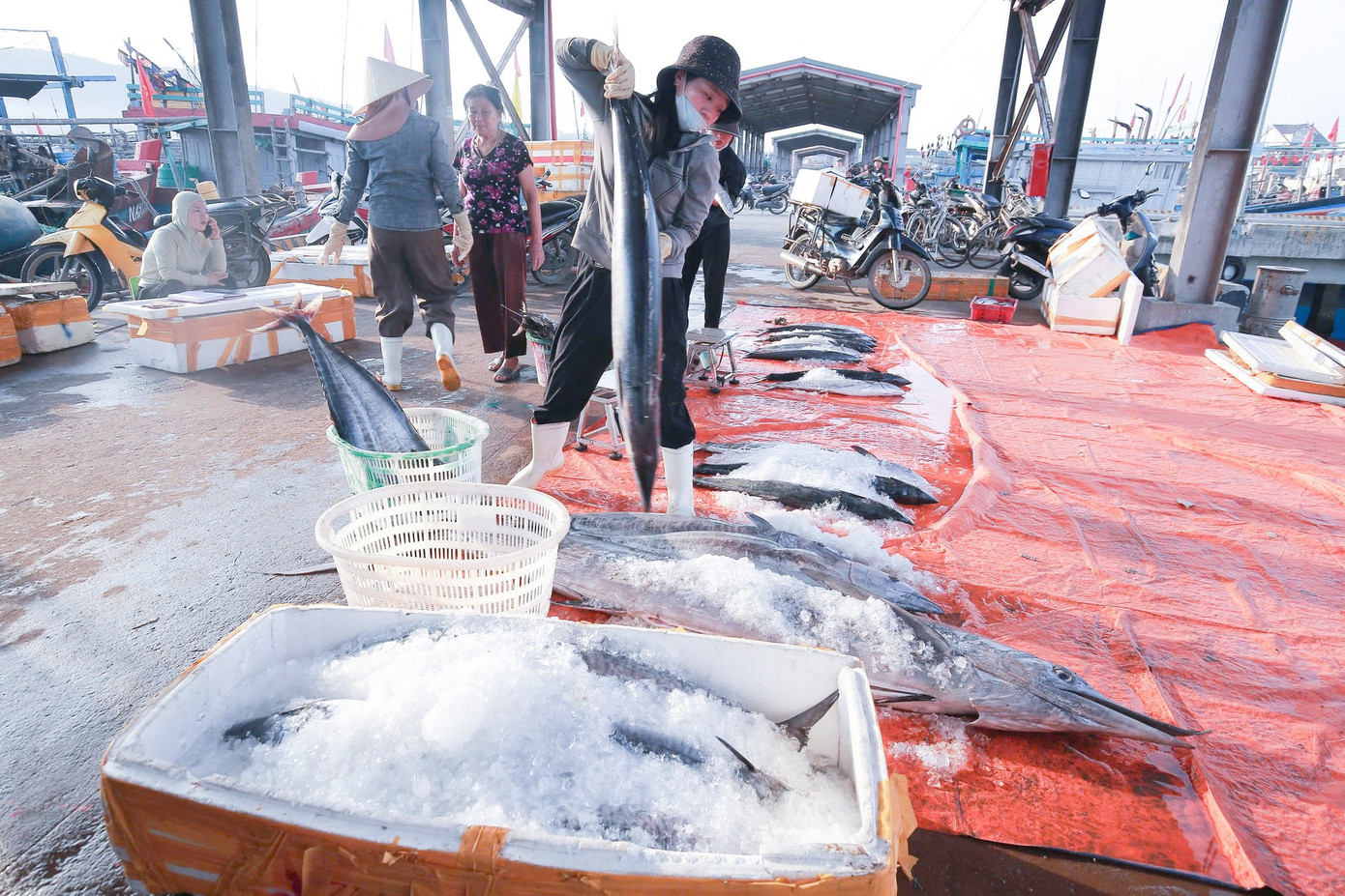 Trúng đậm hải sản là niềm động viên to lớn giúp ngư dân yên tâm bám biển. Trúng đậm hải sản là niềm động viên to lớn giúp ngư dân yên tâm bám biển.