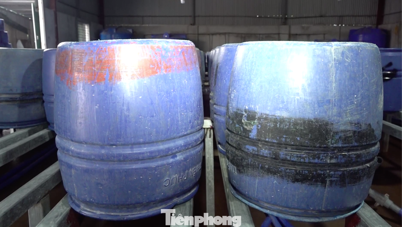 Bên trong 4 cơ sở được các đối tượng hàn hệ thống giá sắt kiên cố cùng hàng nghìn thùng nhựa để sản xuất giá đỗ. Bên trong 4 cơ sở được các đối tượng hàn hệ thống giá sắt kiên cố cùng hàng nghìn thùng nhựa để sản xuất giá đỗ.