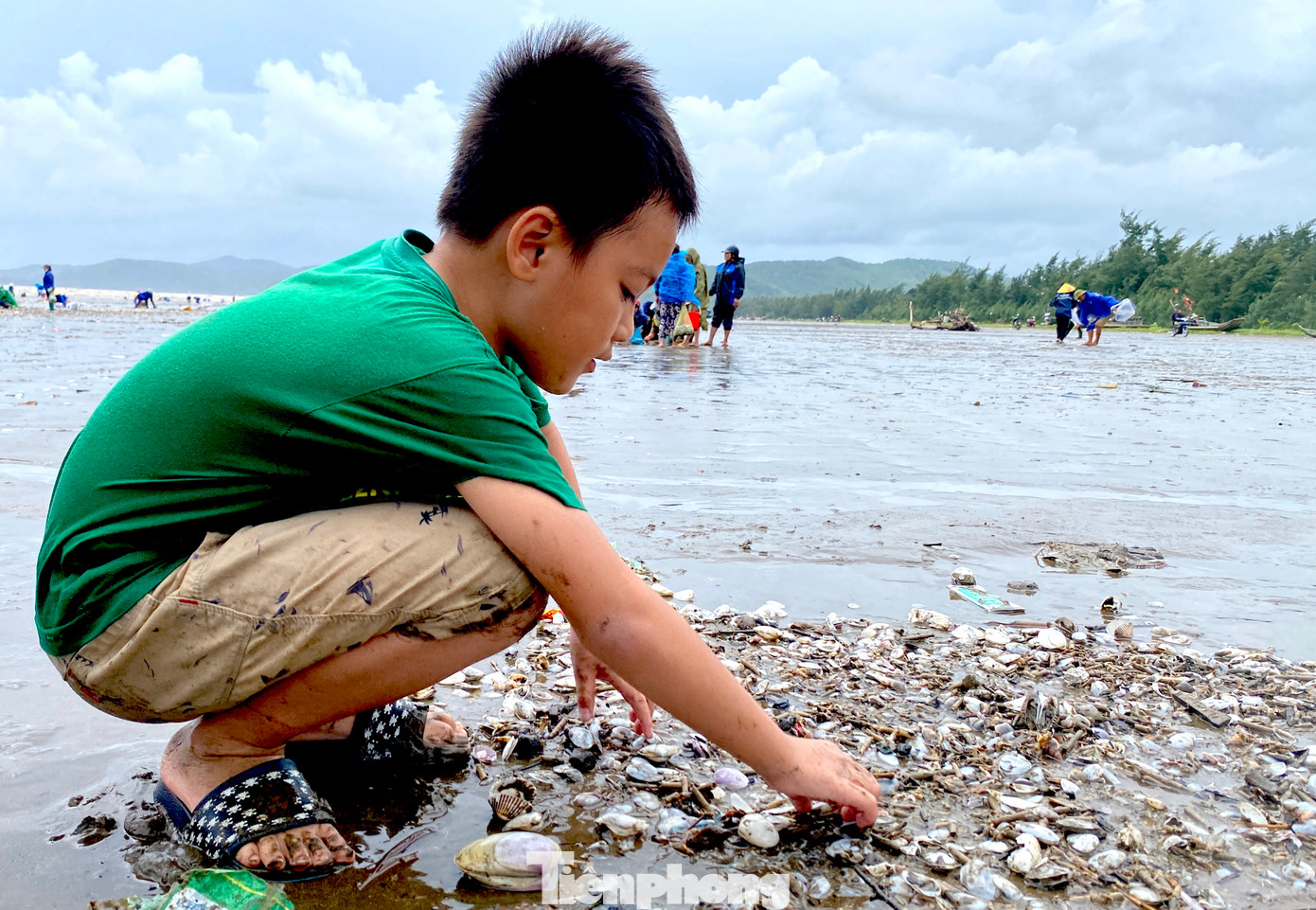 Các em nhỏ theo gia đình ra bờ biển nhặt ngao, sò về.