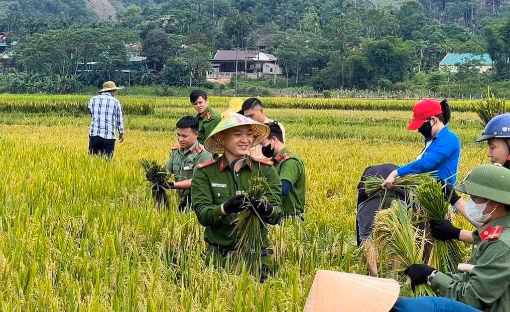 Những hình ảnh đẹp thể hiện tình tương thân tương ái, xung kích, tình nguyện của đoàn viên thanh niên đối với cộng đồng, xã hội.