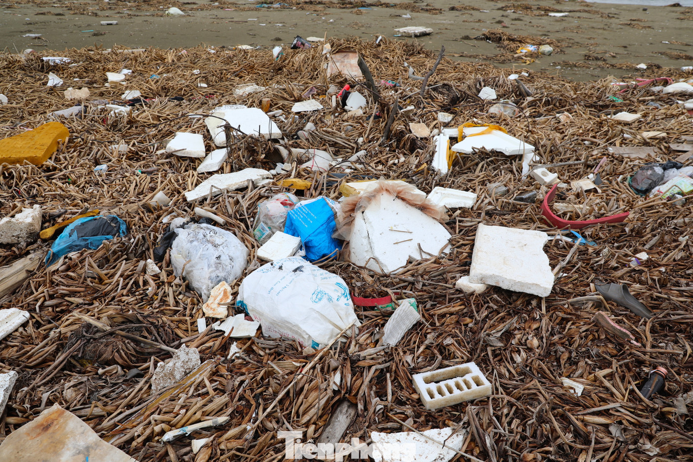 Chủ tịch xã Diễn Kim cho biết thêm, xã này thường xuyên huy động lực lượng đoàn viên thanh niên, hội phụ nữ xã và các đoàn thể ra bờ biển, cửa biển để dọn rác.