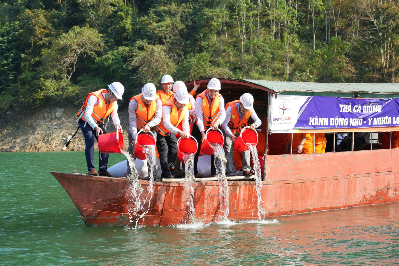 Công ty Thủy điện Bản Vẽ đã thả hơn 50.000 con cá giống xuống lòng hồ Bản Vẽ. Công ty Thủy điện Bản Vẽ đã thả hơn 50.000 con cá giống xuống lòng hồ Bản Vẽ.