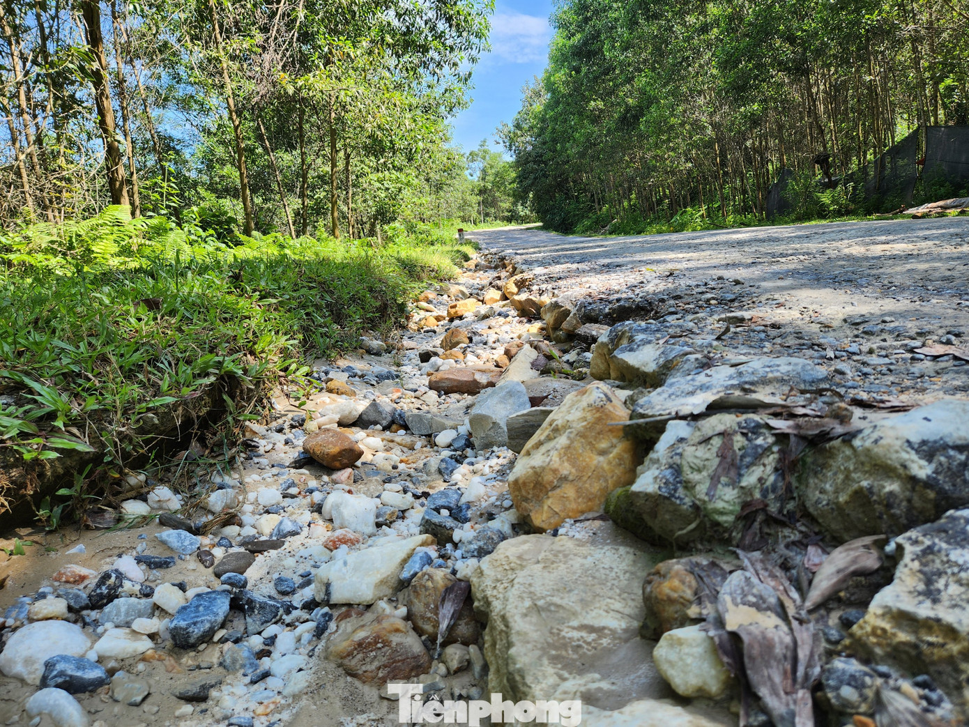 Sau hơn 40 năm sử dụng nhưng không được đầu tư nâng cấp, trong khi lưu lượng xe trọng tải lớn chạy nhiều đã khiến tỉnh lộ 532 xuống cấp trầm trọng. Cả tuyến đường dài 28km nhưng chỉ khoảng 1/6 con đường lành lặn, còn lại chằng chịt "ổ voi", "ổ gà".