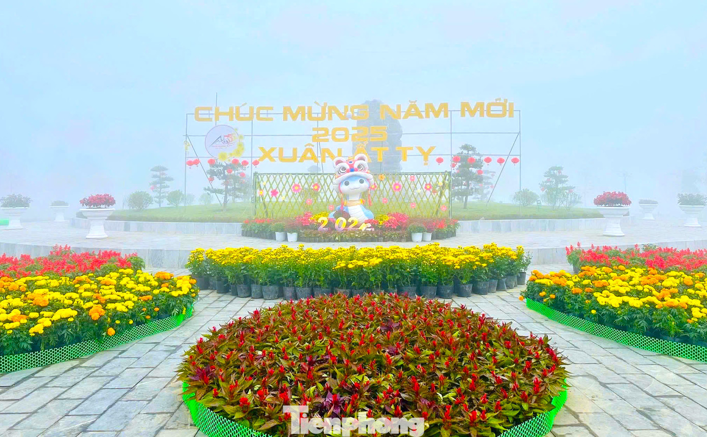 Linh vật rắn và những dải hoa nổi bật trong làn sương sớm.